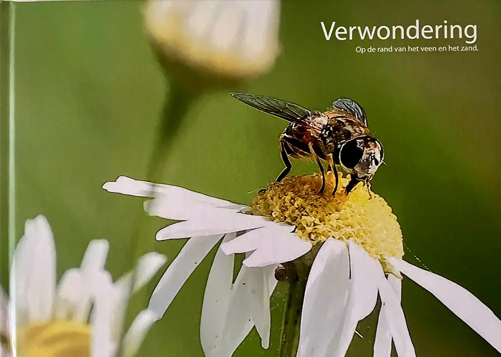 Bundel 1 voorkant